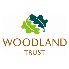 Can you help plant trees?